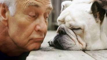 Pet Therapy – a great relationship