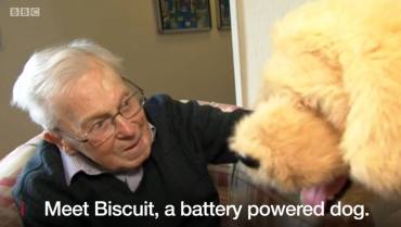 Robotic dog in Dorset care home helps elderly residents