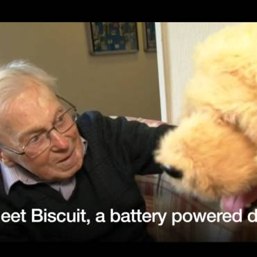 Robotic dog in Dorset care home helps elderly residents